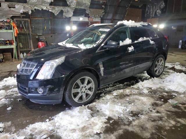 2011 Cadillac Srx Performance Collection na sprzedaż w Albany, NY - Front End