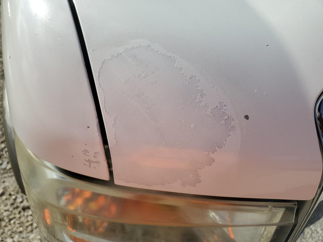 2013 Ford Econoline E450 Super Duty Cutaway Van VIN: 1FDXE4FS5DDA25079 Lot: 85825544