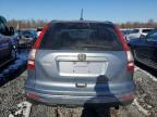 2010 Honda Cr-V Exl de vânzare în Hillsborough, NJ - Normal Wear