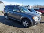 2010 Ford Escape Xlt на продаже в Assonet, MA - Normal Wear