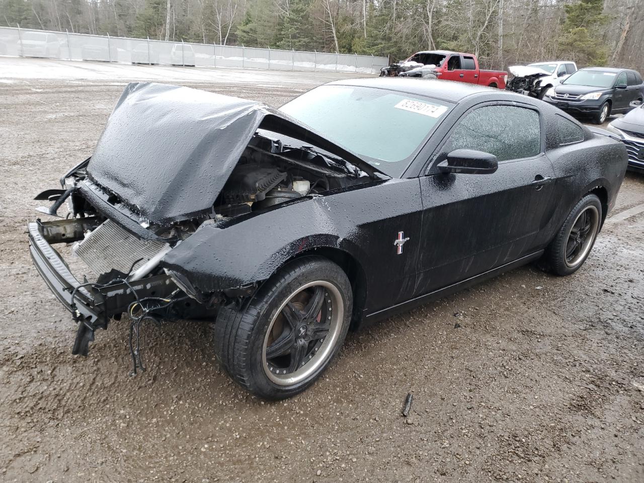 2014 Ford Mustang for Sale in Cookstown, ON - Front End