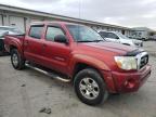 Louisville, KY에서 판매 중인 2005 Toyota Tacoma Double Cab Prerunner - Minor Dent/Scratches