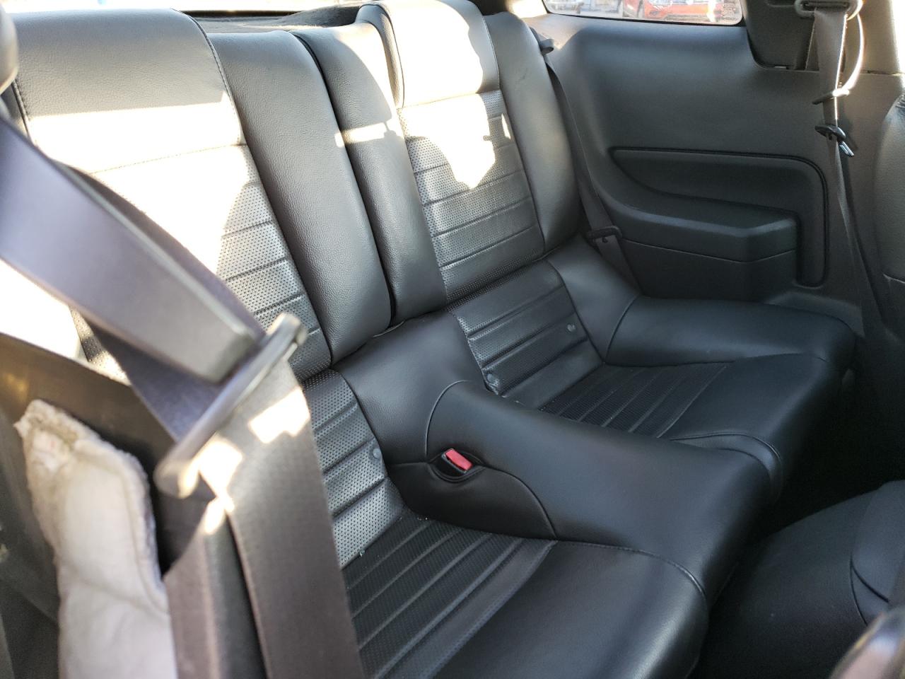 2009 Ford Mustang Gt VIN: 1ZVHT82H495123809 Lot: 85420694