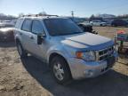 2010 Ford Escape Xlt للبيع في Hillsborough، NJ - Front End