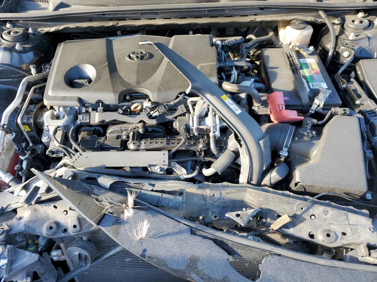 2018 Toyota Camry L VIN: 4T1B11HK5JU554822 Lot: 65806575