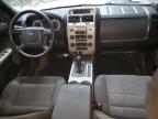 2010 Ford Escape Xlt за продажба в Kincheloe, MI - Front End