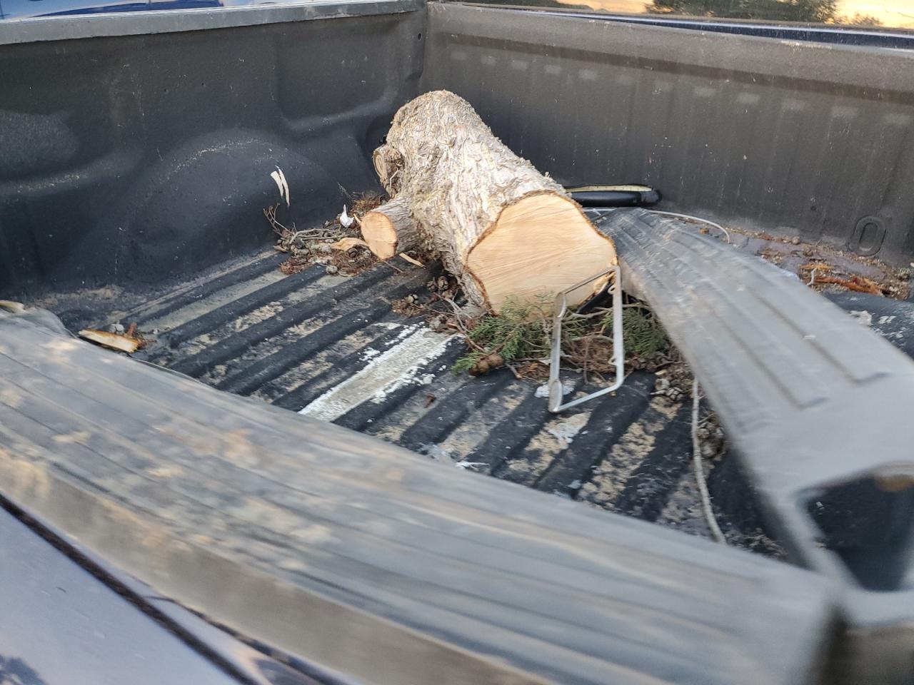 2011 Ford F150 VIN: 1FTMF1EM2BFA42073 Lot: 85560044