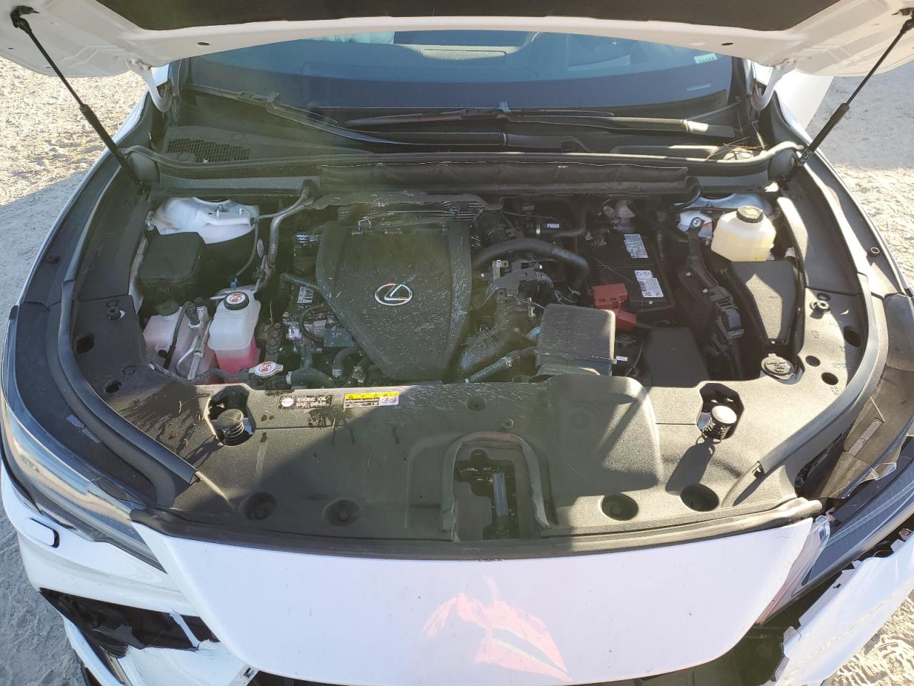2024 Lexus RX - Image 13