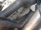 2019 INDIAN MOTORCYCLE CO. CHIEFTAIN DARK HORSE for sale at Copart FL - TAMPA SOUTH