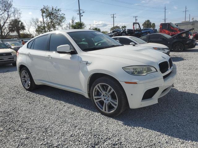  BMW X6 2013 Biały