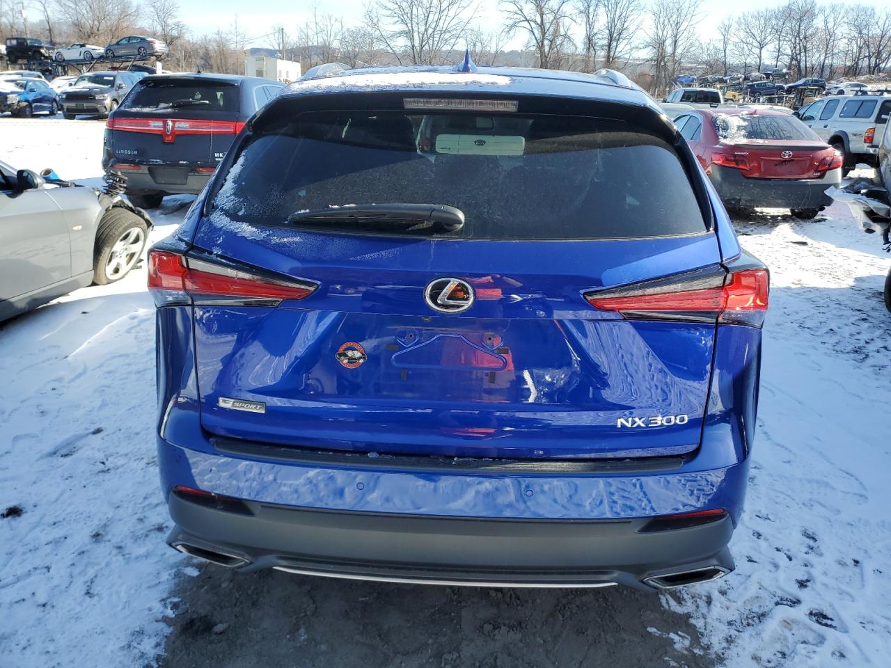 VIN JTJSARDZ7L2221961 2020 LEXUS NX 300 F S no.6