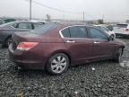 2010 Honda Accord Exl للبيع في Windsor، NJ - Front End