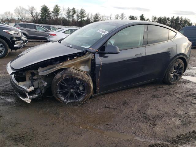  TESLA MODEL Y 2024 Szary