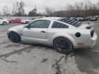 2005 Ford Mustang  للبيع في Bridgeton، MO - Front End