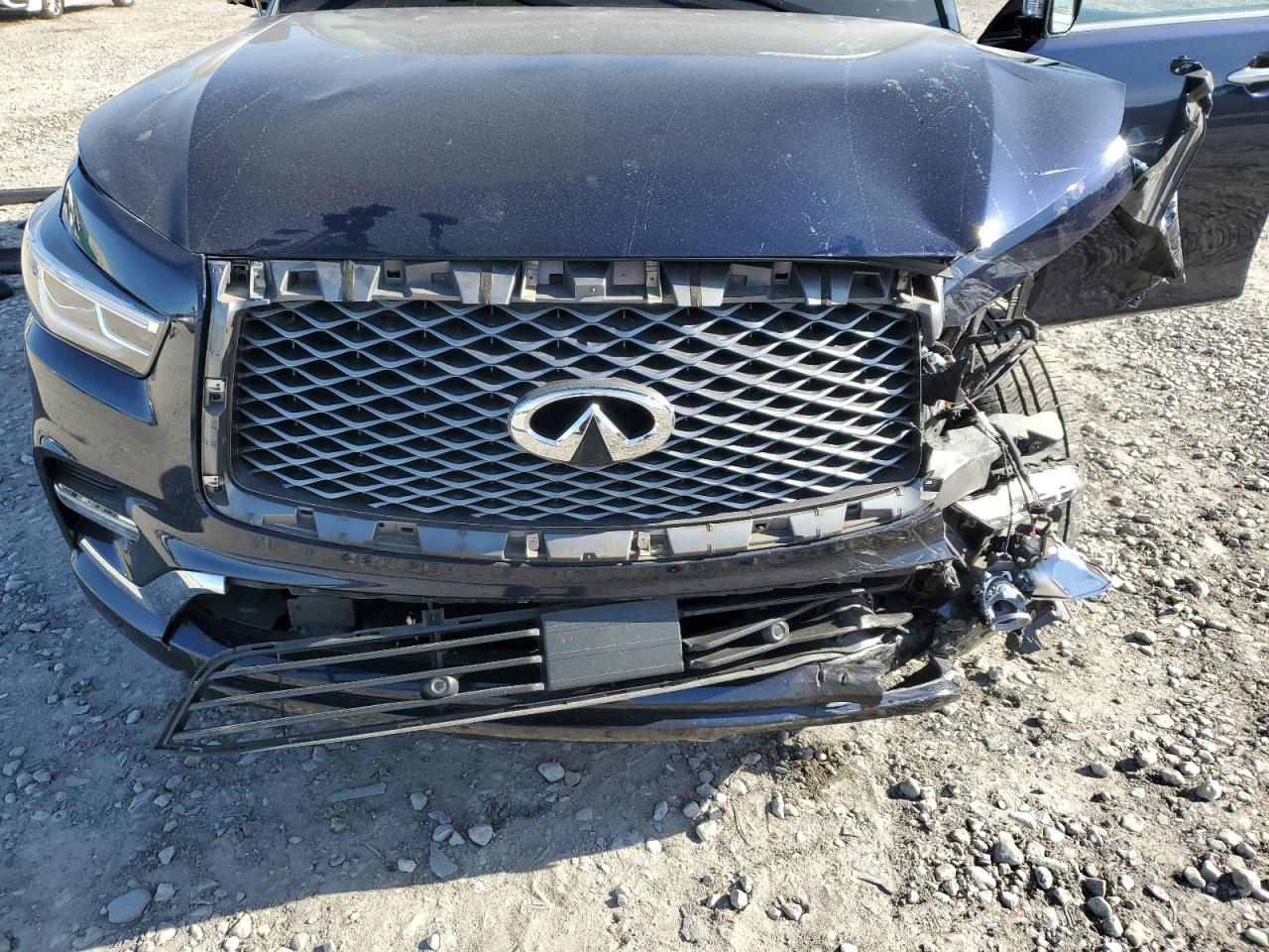 2019 Infiniti Qx80 Luxe VIN: JN8AZ2NE4K9232971 Lot: 84603714