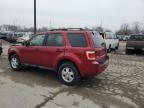 2011 Ford Escape Xlt იყიდება Fort Wayne-ში, IN - Front End