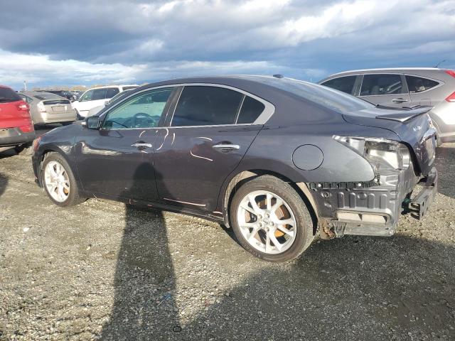  NISSAN MAXIMA 2013 Gray