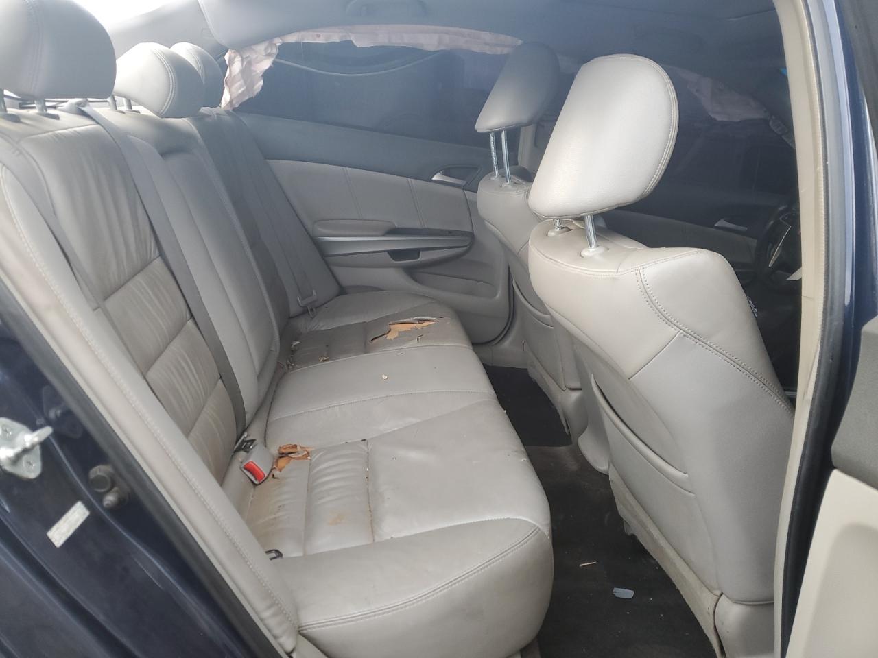 2009 Honda Accord Exl VIN: 1HGCP368X9A021146 Lot: 84225054