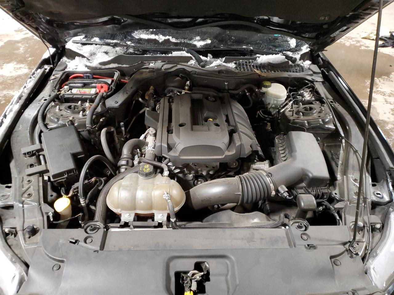 2017 Ford Mustang VIN: 1FA6P8TH6H5225551 Lot: 84833974