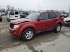 2011 Ford Escape Xlt იყიდება Fort Wayne-ში, IN - Front End