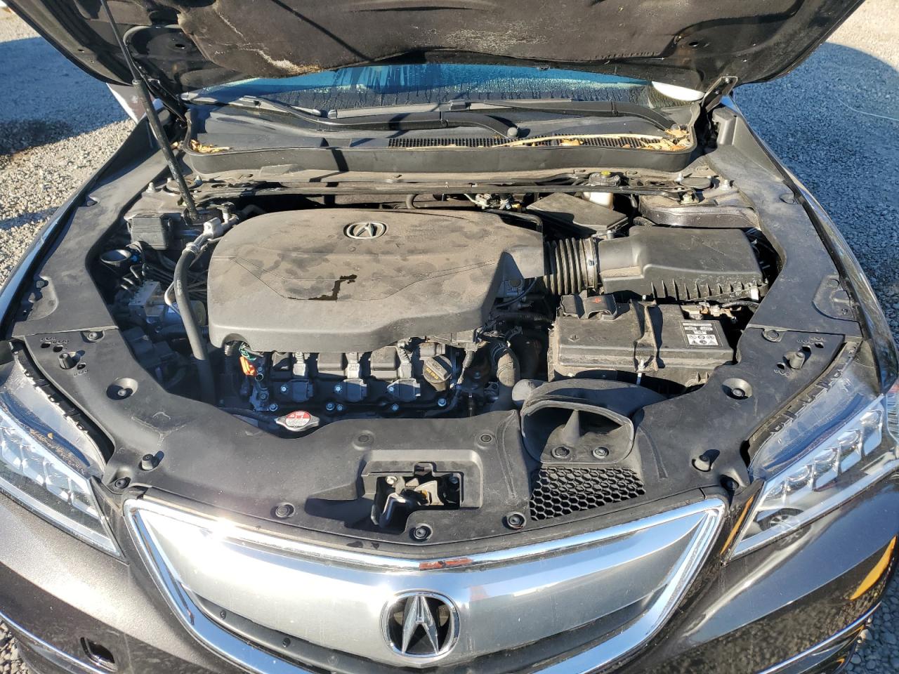 2015 Acura TLX - Image 12