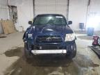 2008 Toyota Tacoma Double Cab Prerunner продається в Lexington, KY - Front End