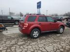 2011 Ford Escape Xlt იყიდება Fort Wayne-ში, IN - Front End