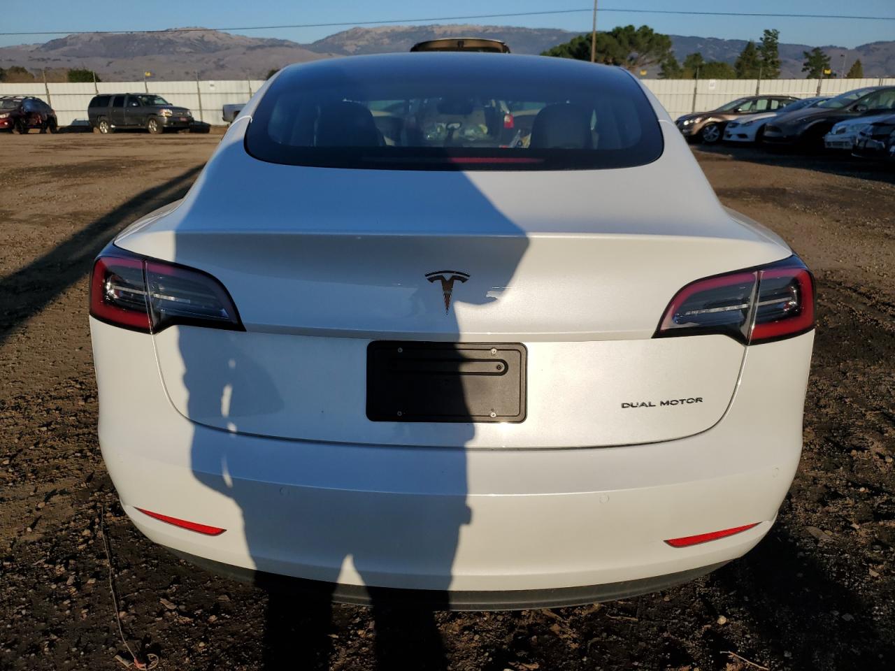 2021 Tesla Model 3 VIN: 5YJ3E1EBXMF010041 Lot: 85822004