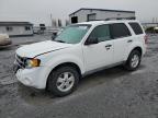 Airway Heights, WA에서 판매 중인 2011 Ford Escape Xlt - Front End