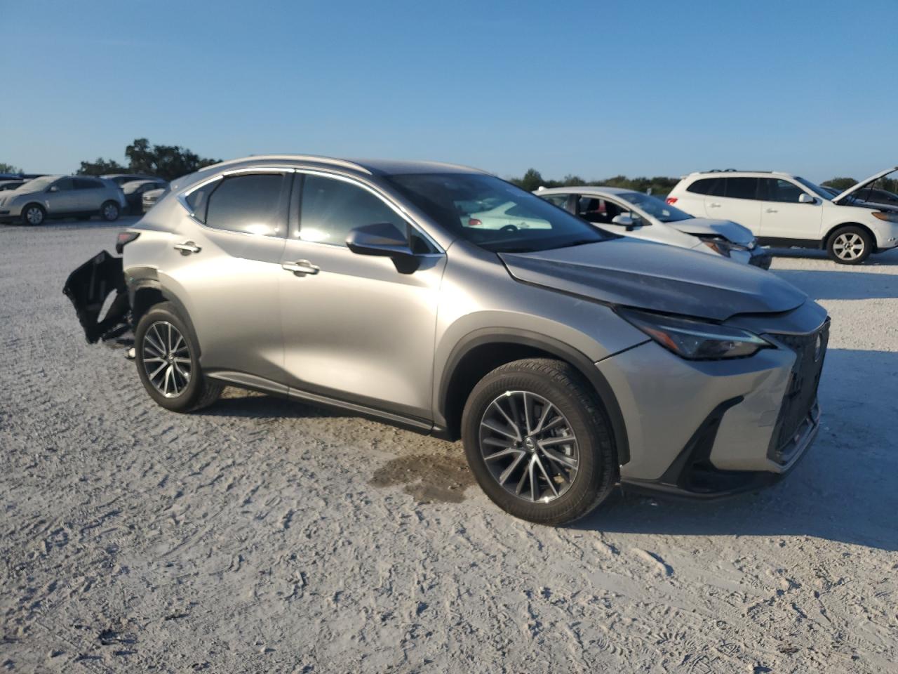 2023 Lexus NX - Image 4