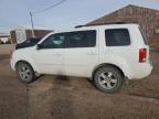 2009 Honda Pilot Exl на продаже в Rapid City, SD - Hail