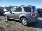 2010 Ford Escape Xlt на продаже в Assonet, MA - Normal Wear