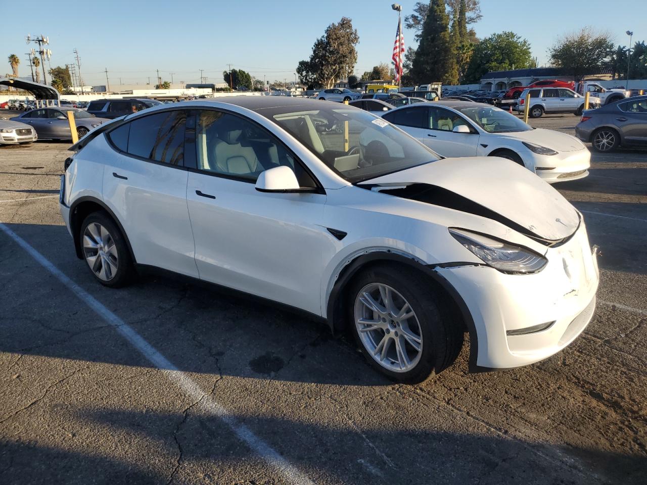 VIN 7SAYGDEE5PA069501 2023 TESLA MODEL Y no.4