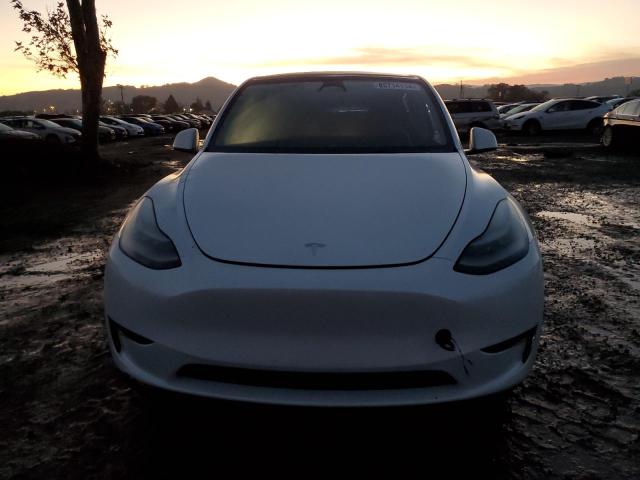  TESLA MODEL Y 2023 Белы