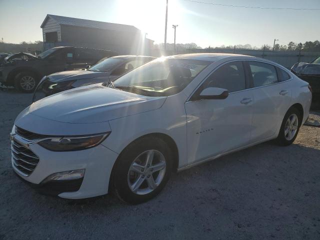  CHEVROLET MALIBU 2023 White