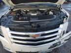 2019 Cadillac Escalade Premium Luxury for Sale in Littleton, CO - Rear End