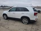 2014 Kia Sorento Ex للبيع في Columbus، OH - Minor Dent/Scratches