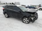 2014 Toyota Rav4 Xle zu verkaufen in Portland, MI - Front End