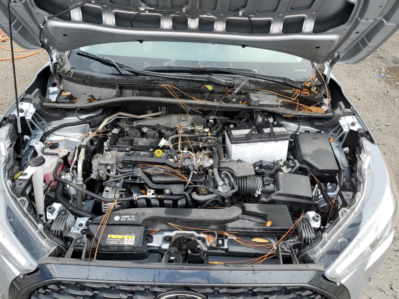 2023 Toyota Corolla Cross L VIN: 7MUAAABG0PV055403 Lot: 85473584