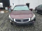 2010 Honda Accord Exl للبيع في Windsor، NJ - Front End