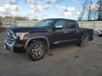 2025 Toyota Tundra Crewmax Platinum продається в Dunn, NC - All Over