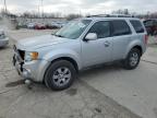 2011 Ford Escape Limited de vânzare în Fort Wayne, IN - Front End