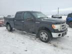 2013 FORD F150 SUPERCREW for sale at Copart AB - CALGARY