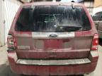 2011 Ford Escape Limited იყიდება Anchorage-ში, AK - Front End