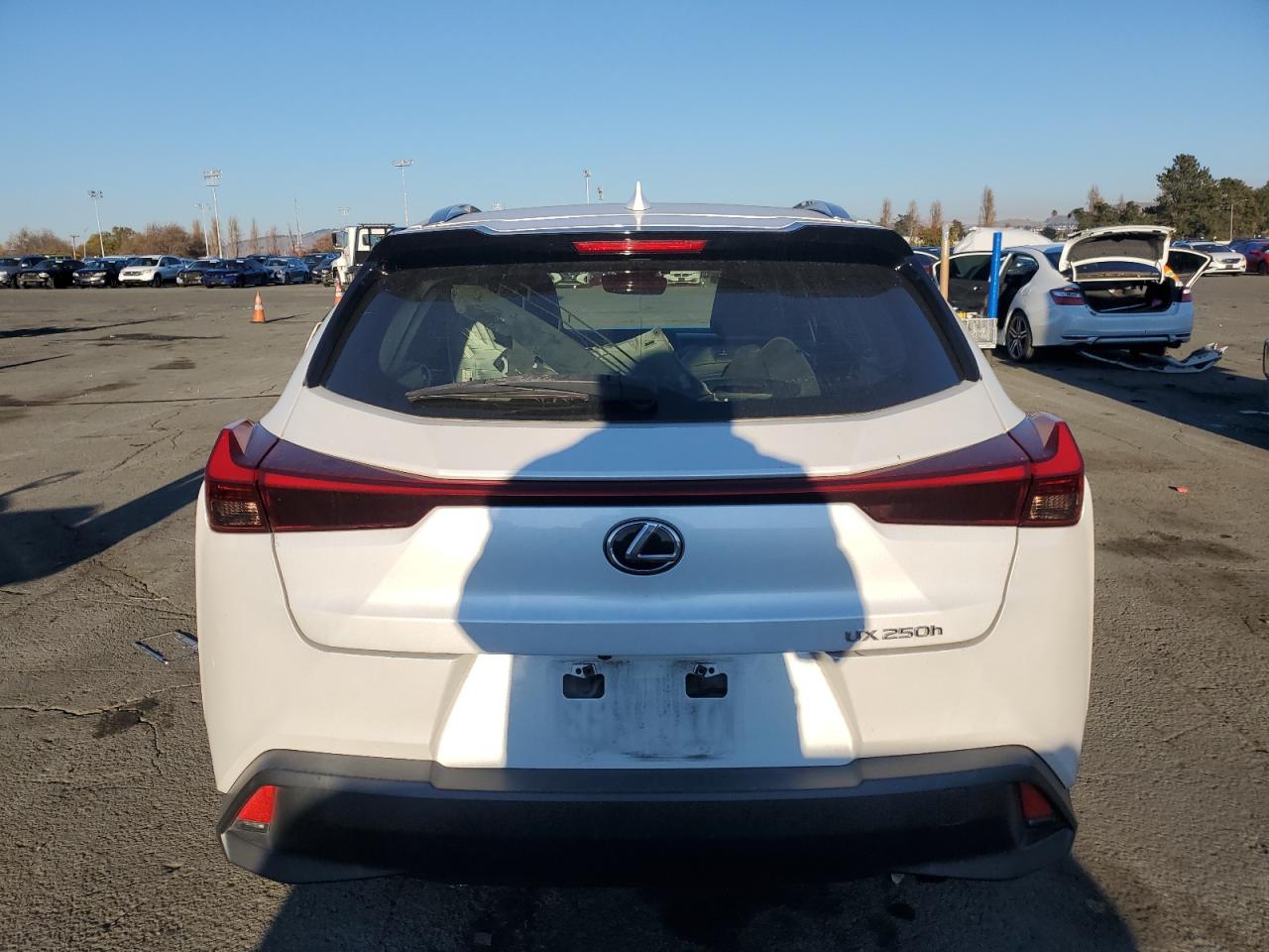 2019 Lexus UX - Image 6