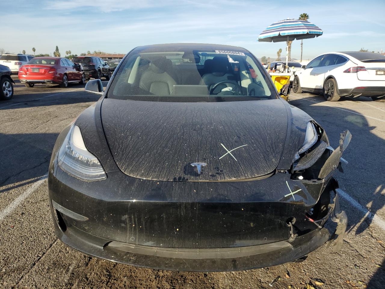 2019 Tesla Model 3 VIN: 5YJ3E1EA4KF305866 Lot: 85666804