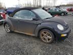 2003 Volkswagen New Beetle Gls за продажба в Arlington, WA - Minor Dent/Scratches