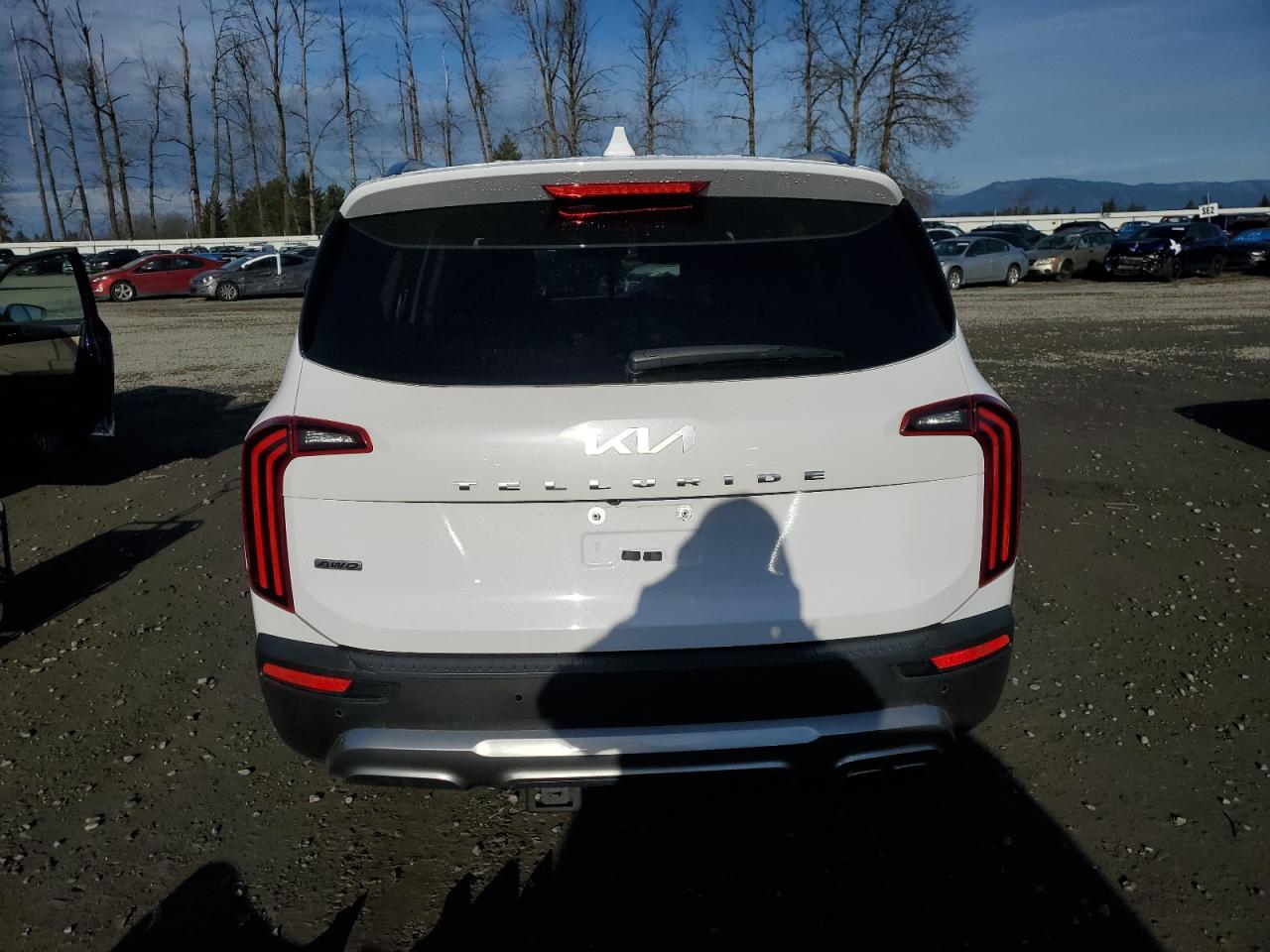 2022 Kia Telluride Sx VIN: 5XYP5DHC3NG228744 Lot: 86830864