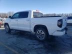 2019 Toyota Tundra Crewmax 1794 продається в Rogersville, MO - Water/Flood