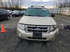 2011 Ford Escape Xlt იყიდება Arlington-ში, WA - Front End